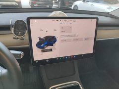 Tesla Model Y Long Range All-Wheel Drive - ფოტო 13