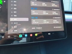 Tesla Model Y Long Range All-Wheel Drive - ფოტო 12