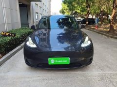 Tesla Model Y Long Range All-Wheel Drive - ფოტო 3