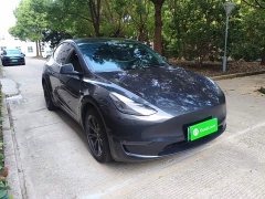 Tesla Model Y Long Range All-Wheel Drive - ფოტო 4