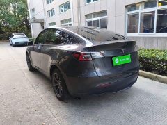 Tesla Model Y Long Range All-Wheel Drive - ფოტო 5
