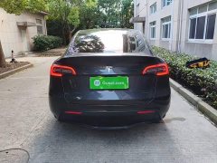 Tesla Model Y Long Range All-Wheel Drive - ფოტო 6