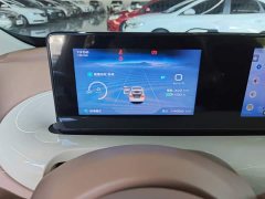Wuling Binguo 333km Joy Edition - ფოტო 12