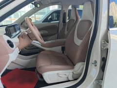 Wuling Binguo 333km Joy Edition - ფოტო 15