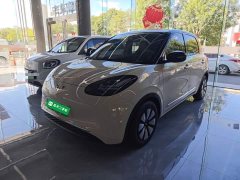 Wuling Binguo 333km Joy Edition - ფოტო 2