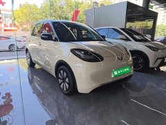 Wuling Binguo 333km Joy Edition - ფოტო 4