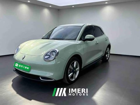 2023 ORA Good Cat 401km Standard Range Deluxe LFP - ავტომობილი ჩინეთიდან