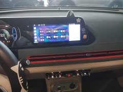 ORA Good Cat 401km Standard Range Deluxe LFP - ფოტო 13