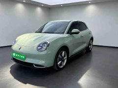 ORA Good Cat 401km Standard Range Deluxe LFP - ფოტო 2