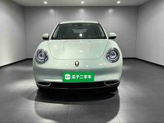 ORA Good Cat 401km Standard Range Deluxe LFP - ფოტო 3