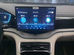 BYD Song Plus New Energy New Energy EV Premium - photo 13