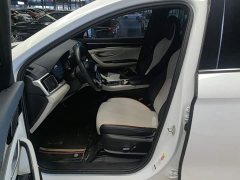 BYD Song Plus New Energy New Energy EV Premium - photo 15