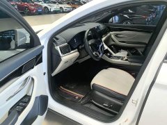 BYD Song Plus New Energy New Energy EV Premium - photo 16