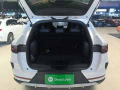 BYD Song Plus New Energy New Energy EV Premium - photo 19