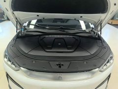 BYD Song Plus New Energy New Energy EV Premium - photo 20