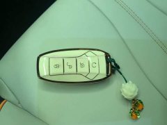 BYD Song Plus New Energy New Energy EV Premium - photo 9