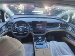 Denza BYD Denza D9 2024 EV 620 Premium Edition - ფოტო 10
