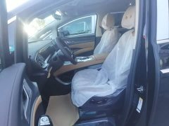 Denza BYD Denza D9 2024 EV 620 Premium Edition - ფოტო 15