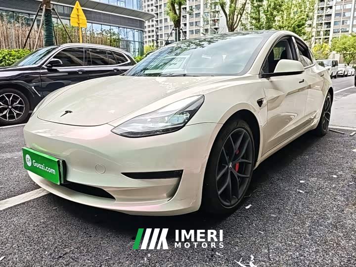 Tesla Model 3 Performance All-Wheel Drive 3D6