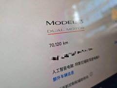 Tesla Model 3 Performance All-Wheel Drive 3D6 - ფოტო 12
