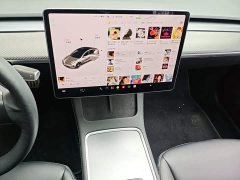 Tesla Model 3 Performance All-Wheel Drive 3D6 - ფოტო 13