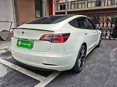 Tesla Model 3 Performance All-Wheel Drive 3D6 - ფოტო 7