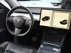 Tesla Model Y Long Range All-Wheel Drive - ფოტო 11