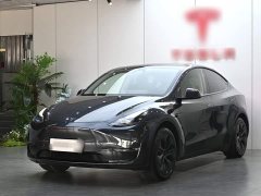 Tesla Model Y Long Range All-Wheel Drive - ფოტო 2