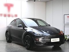Tesla Model Y Long Range All-Wheel Drive - ფოტო 4