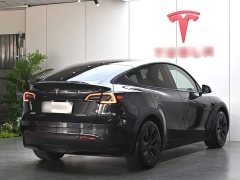 Tesla Model Y Long Range All-Wheel Drive - ფოტო 7