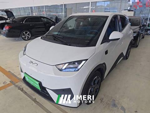 2026 BYD Seagull Smart Driving Edition 305km Freedom Edition