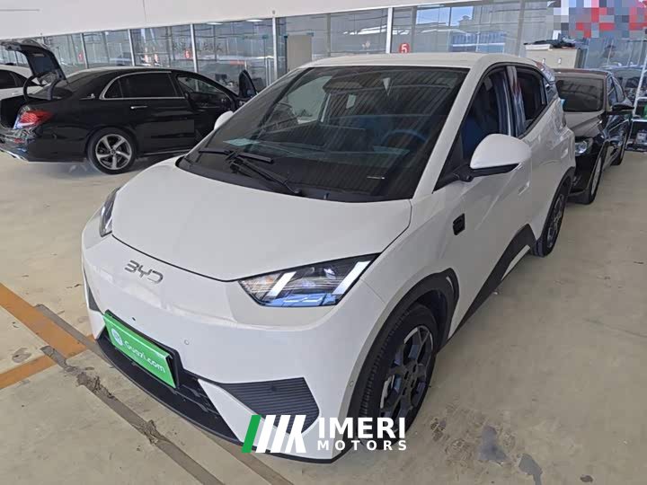 BYD Seagull Smart Driving Edition 305km Freedom Edition