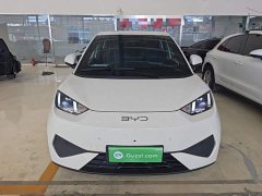 BYD Seagull 2025 Smart Driving Edition 305km Freedom Edition - ფოტო 3