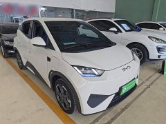 BYD Seagull 2025 Smart Driving Edition 305km Freedom Edition - ფოტო 4