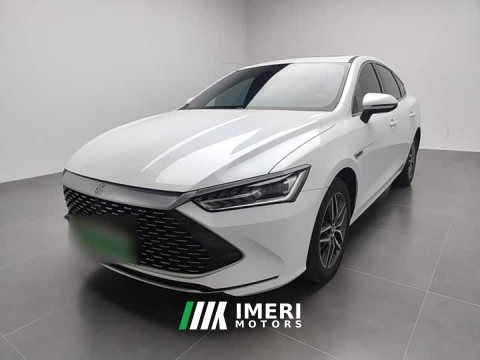 2023 BYD Qin PLUS Champion Edition DM-i 55KM Exceed - ავტომობილი ჩინეთიდან