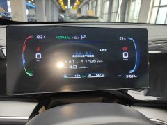BYD Qin PLUS Champion Edition DM-i 55KM Exceed - фото 12