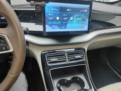 BYD Qin PLUS Champion Edition DM-i 55KM Exceed - фото 13