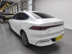 BYD Qin PLUS Champion Edition DM-i 55KM Exceed - фото 5