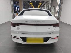 BYD Qin PLUS Champion Edition DM-i 55KM Exceed - фото 6