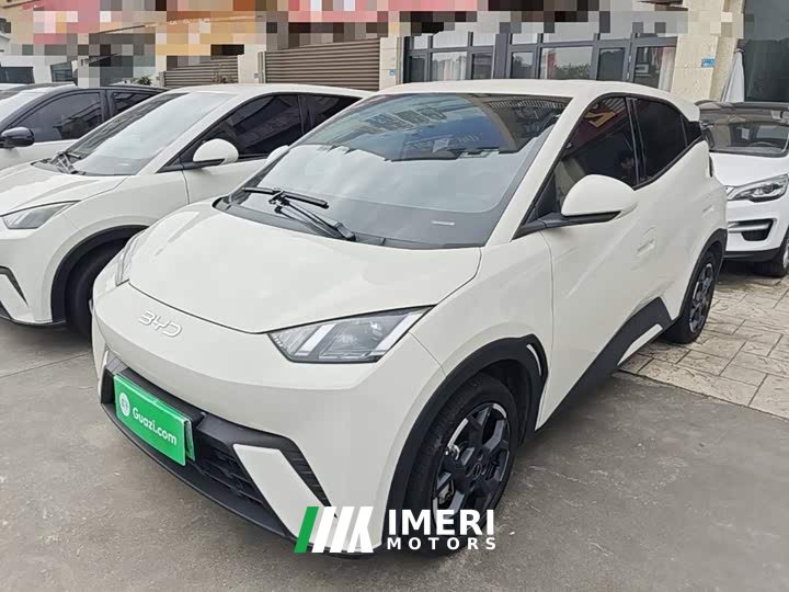 BYD Seagull 2025 305km Freedom Edition - ავტომობილი ჩინეთიდან