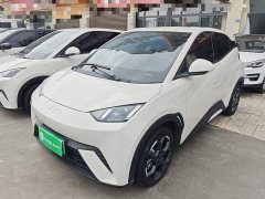 BYD Seagull 2025 305km Freedom Edition - ფოტო 1