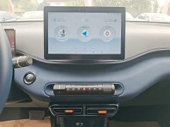 BYD Seagull 2025 305km Freedom Edition - ფოტო 13