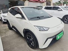 BYD Seagull 2025 305km Freedom Edition - ფოტო 4