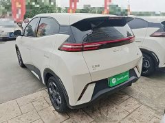 BYD Seagull 2025 305km Freedom Edition - ფოტო 5