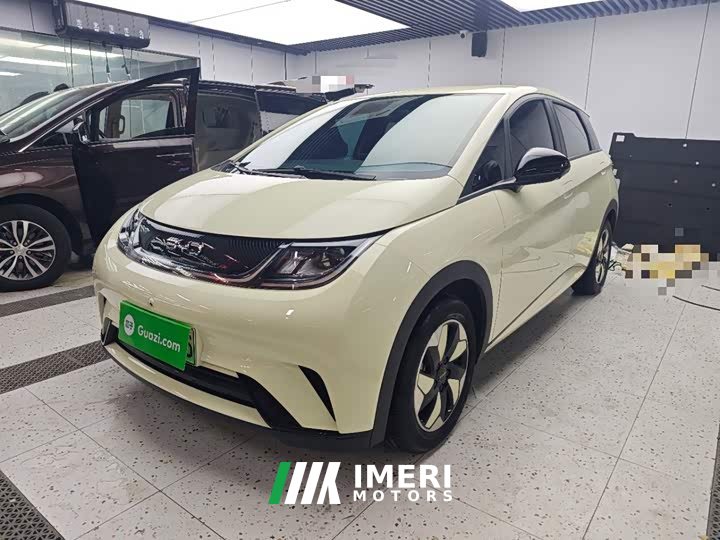 BYD Dolphin 420km Freedom Edition - ავტომობილი ჩინეთიდან