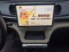 BYD Dolphin 420km Freedom Edition - ფოტო 13