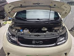 BYD Dolphin 420km Freedom Edition - ფოტო 20