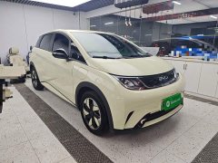 BYD Dolphin 420km Freedom Edition - ფოტო 4