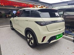 BYD Dolphin 420km Freedom Edition - ფოტო 5