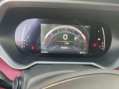 GAC Aion GS4 270T Automatic Smart Navigation Edition (Upgraded) - ფოტო 12